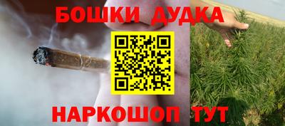 меф Гатчина