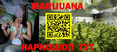 меф Гатчина