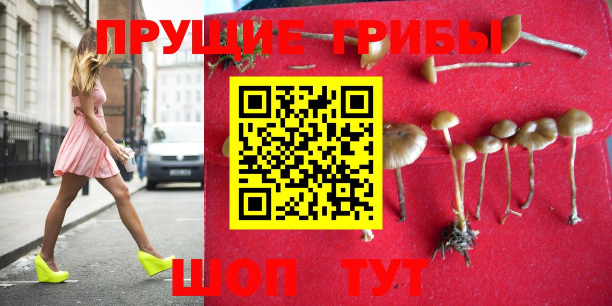 купить наркотик  Вход с VPN  Набережные Челны  Галлюциногенные грибы Psilocybe 