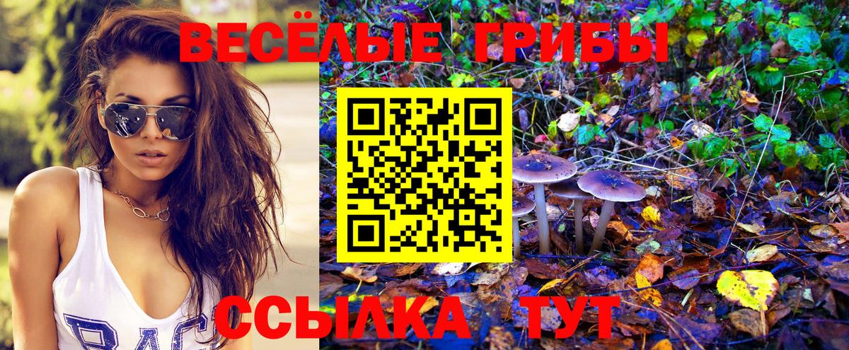 Псилоцибиновые грибы Magic Shrooms Набережные Челны
